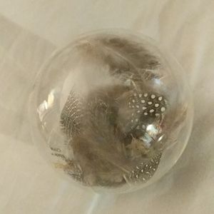 Roost feather in glass